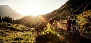 mountainbiken-radfahren-saalfelden-leogang (16)